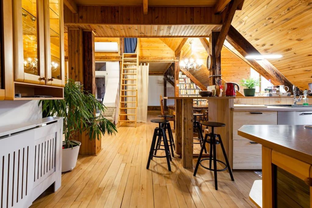 Rooftop 180M2 Loft With Private Sauna, 布拉迪斯拉发 外观 照片
