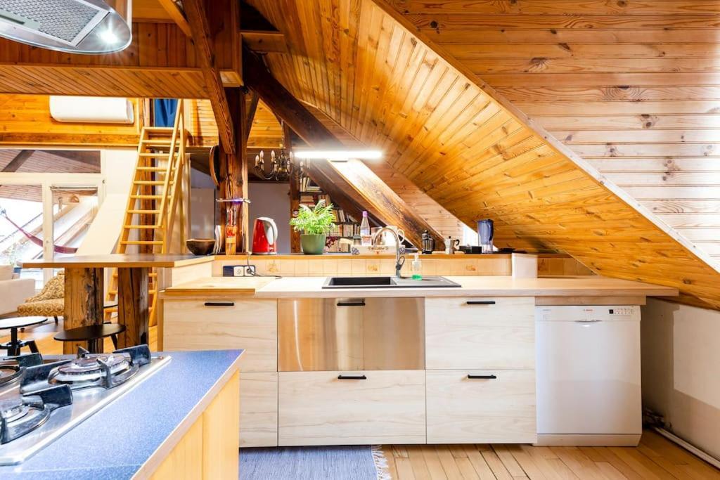 Rooftop 180M2 Loft With Private Sauna, 布拉迪斯拉发 外观 照片