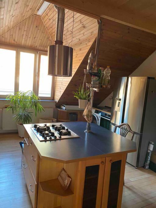 Rooftop 180M2 Loft With Private Sauna, 布拉迪斯拉发 外观 照片