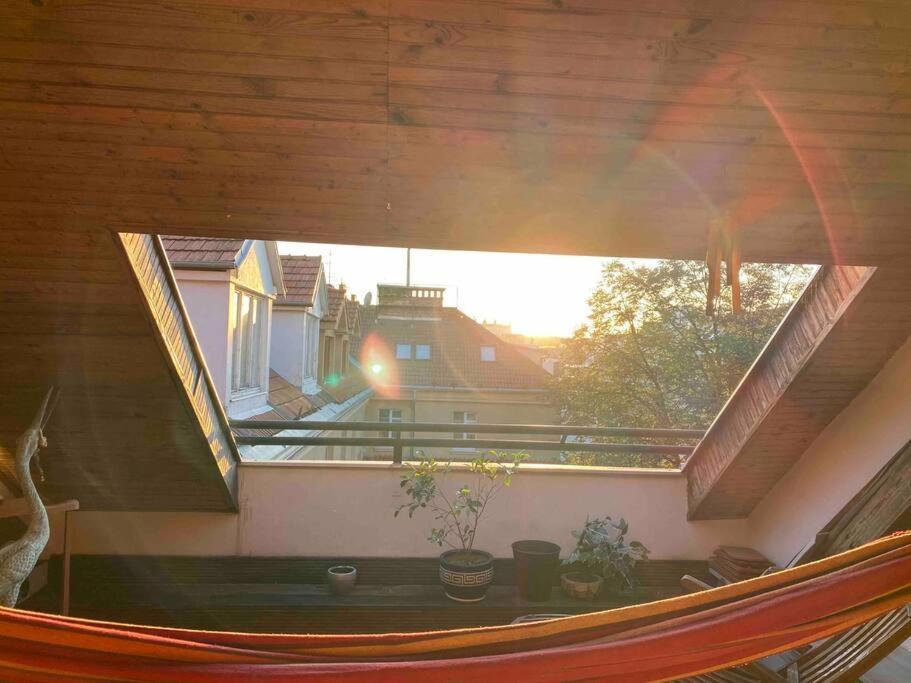 Rooftop 180M2 Loft With Private Sauna, 布拉迪斯拉发 外观 照片