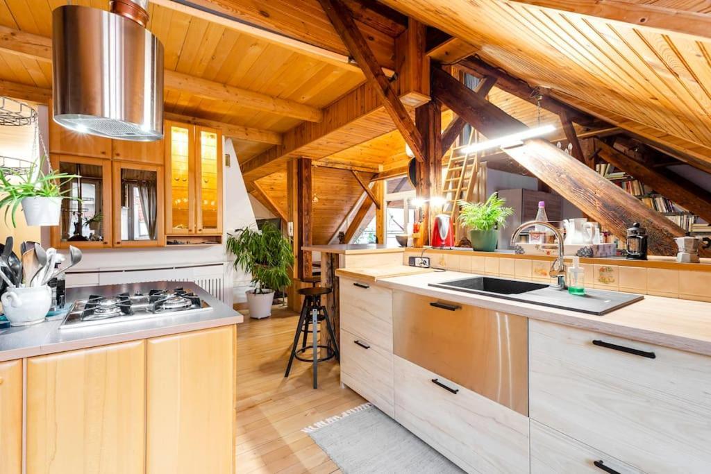 Rooftop 180M2 Loft With Private Sauna, 布拉迪斯拉发 外观 照片